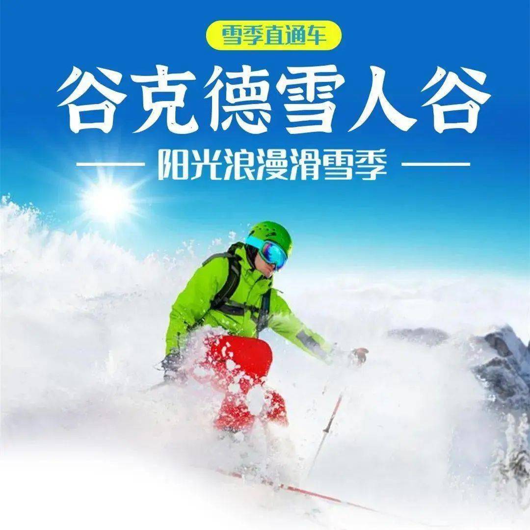 国际高山滑雪大奖赛，雪域高原的速度传奇的简单介绍