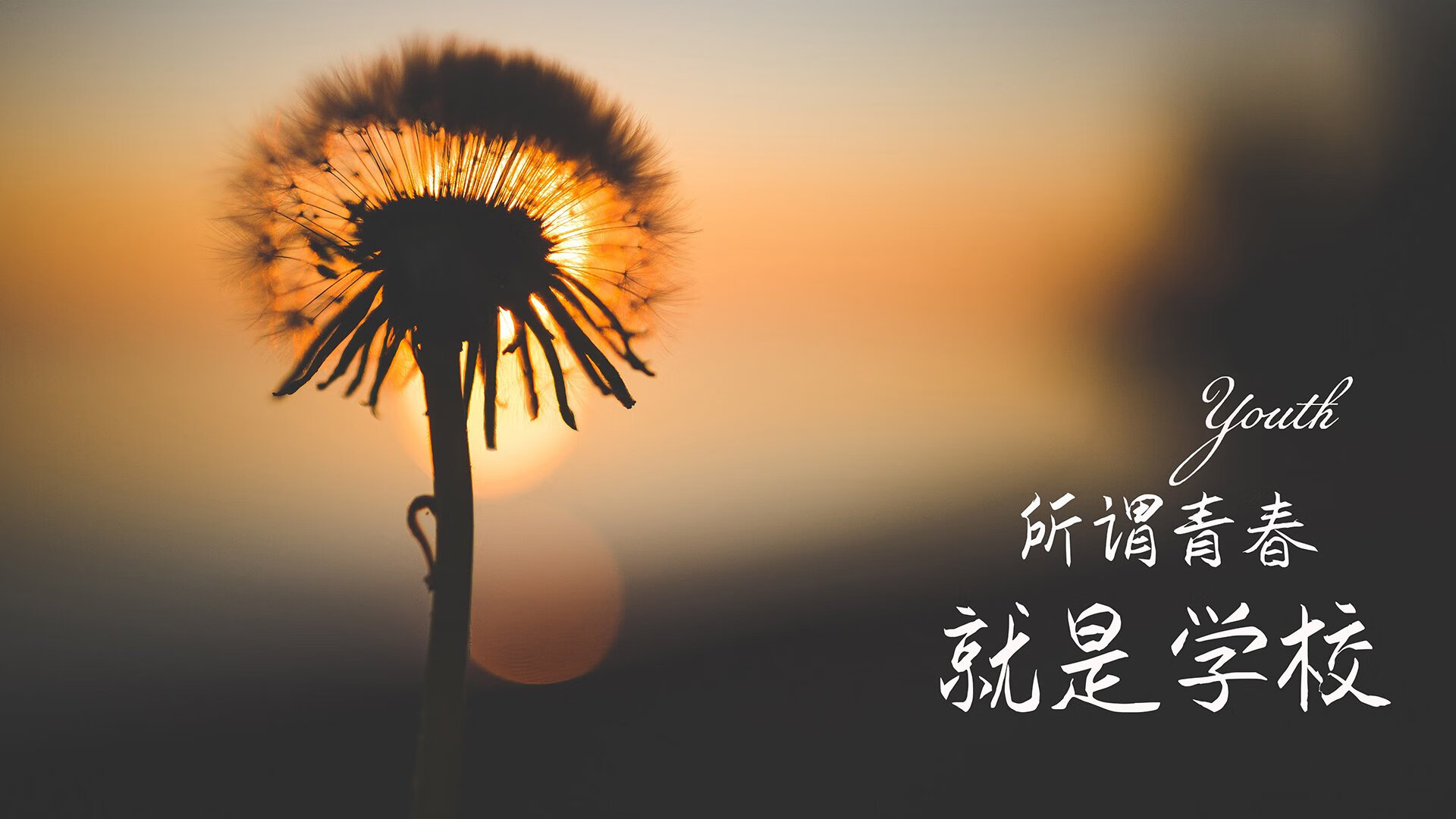 墨西哥马术协会与兽医合作，开展马匹疾病预防与治疗研究。，墨西哥木马