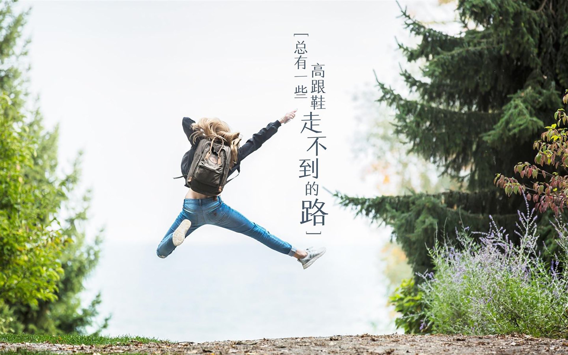 纽约尼克斯重拾胜利，以团队篮球击败对手，纽约尼克斯是什么队