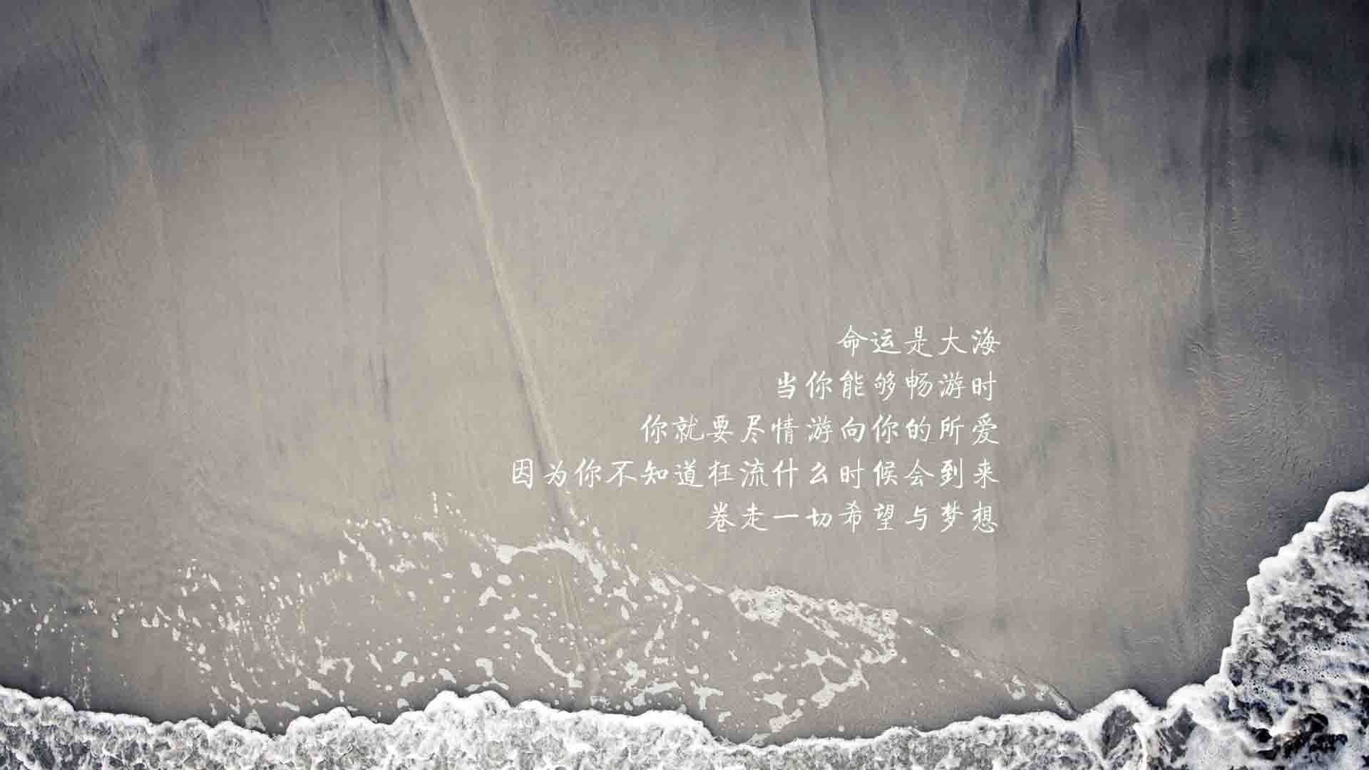 斯图加特主帅下课，球队需寻找新的领航者，斯图加特球迷