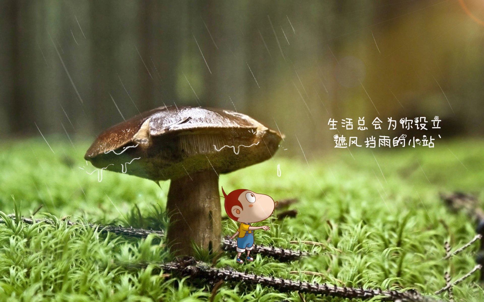 特色足球文化学院建立，推动体育+文化深度融合，足球特色学校申报系统